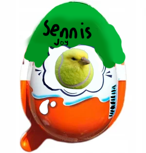 Sennis Joy Egg